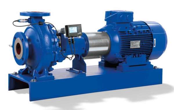 A Canned Motor Pump Is a Type of Centrifugal Pump