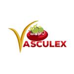 Vasculex Profile Picture