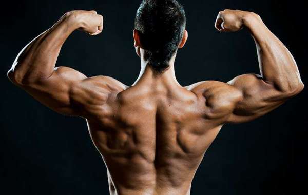 Tren Base 50 Mg - Trenbolone Cycle (Tren Cycle Guide) | Steroid Cycles