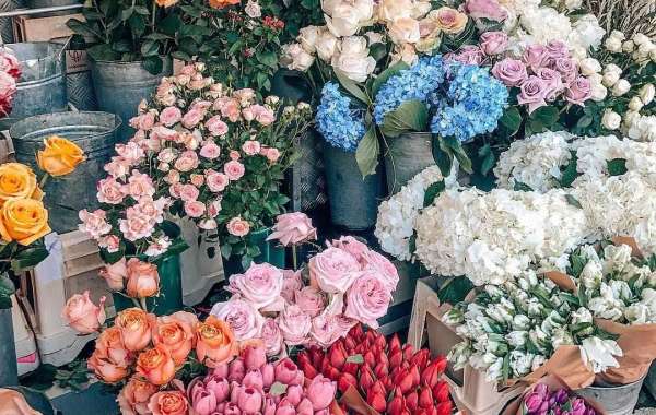Flower Shops Nicosia