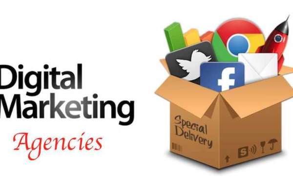 What Makes Magicalabs Digital Marketing Company in Bareilly Stand Out?