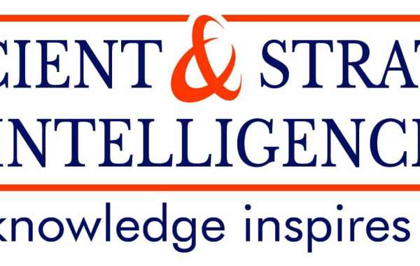 AI in BFSI Market Growth Aided by Rapid Digitization in Developing Countries