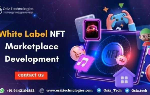 Everything You  Wanted to Know About White Label NFT Marketplace Development