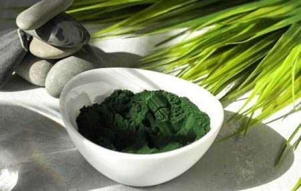 Algae Protein for Pharmaceutical Market  Research, Growth Opportunities, Trends and Forecasts Report till 2028