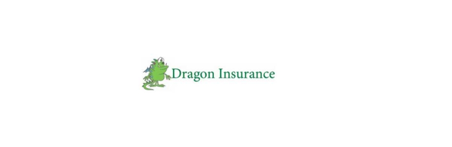 Dragon Insurance Cover Image