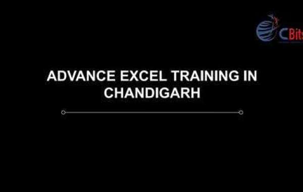 Excel Training Institute in Chandigarh Sector 34