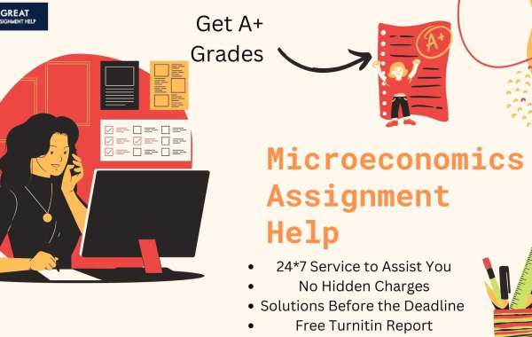 A Detailed Overview of Microeconomics Assignment Help