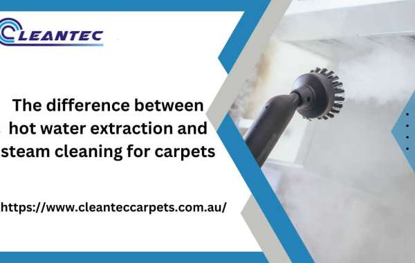 The difference between hot water extraction and steam cleaning for carpets
