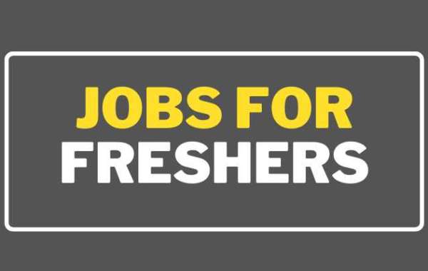 Highest Paying Jobs For Freshers