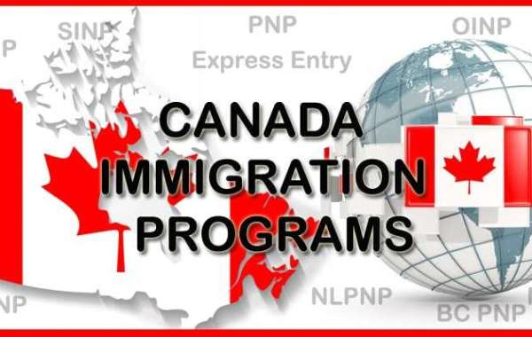 2023 Guide to the Canadian Immigration Programs for Software Engineers