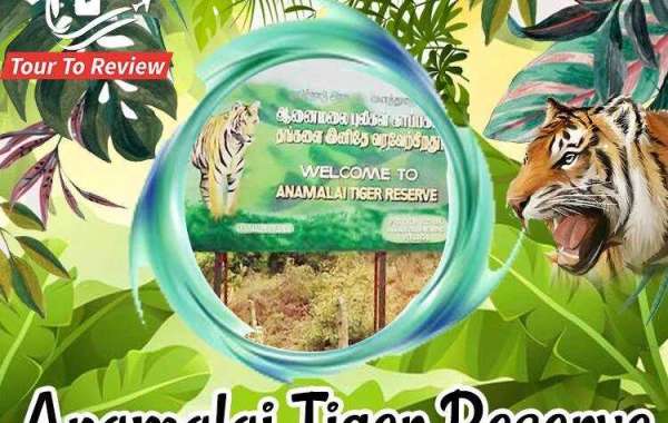 Anamalai Tiger Reserve: Protecting Wildlife and Preserving Biodiversity