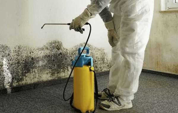Mold Inspection and Water Damage Restoration Services in Milton and Niceville: