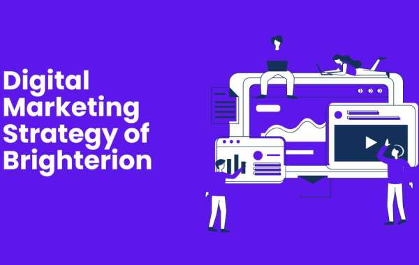 Digital Marketing Strategy of Brighterion – A Detailed Guide
