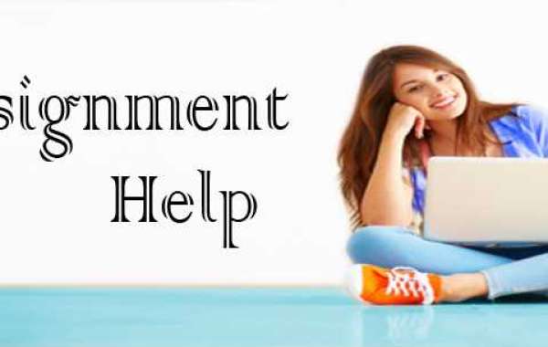 Achieve Academic Success with Professional Assignment Help