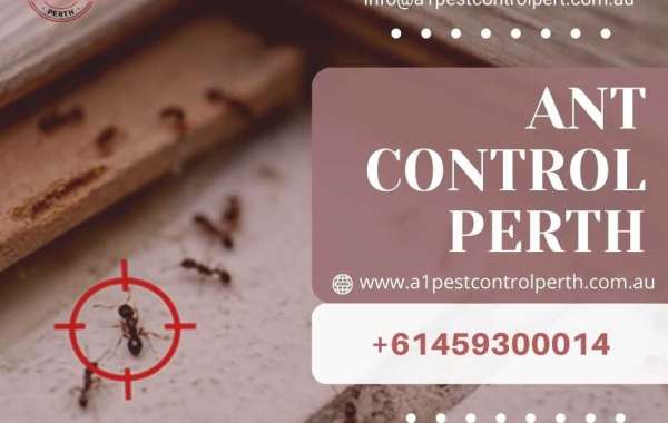Pest Control Perth: Expert Solutions for Effective Pest Management