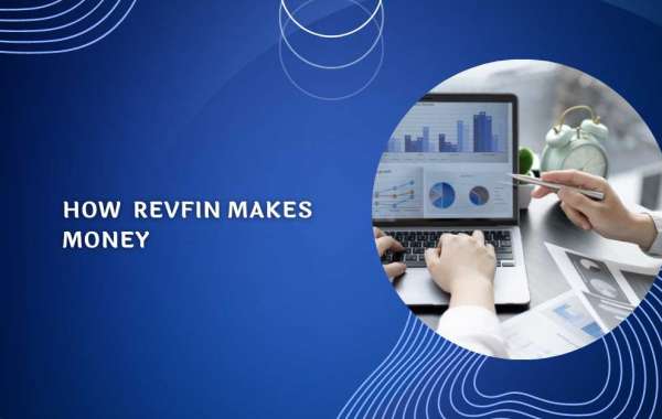 How Revfin Makes Money: Unlocking the Revenue Model of a Financial Services Provider