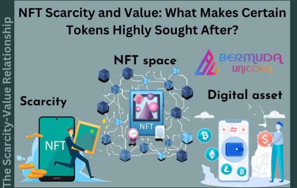 "NFT Scarcity and Value: What Makes Certain Tokens Highly Sought After?"