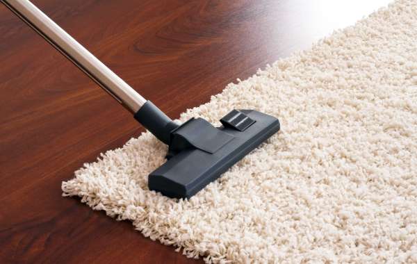 Professional Carpet Cleaning 101: Handling Common Pet-Related Carpet Issues