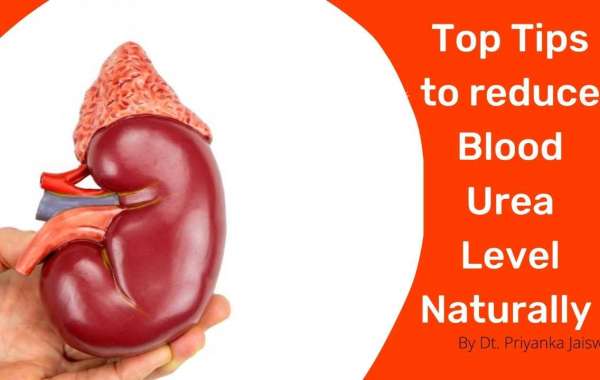 Sure Fire Ways to Get Better at How to Reduce Blood Urea