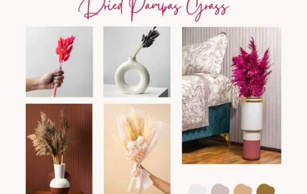 Dried Pampas Grass Remains One of the Most Trending Home Decor