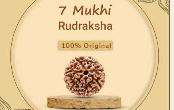 "The Timeless Charm of 7 Mukhi Rudraksha: Your Path to Inner Harmony"