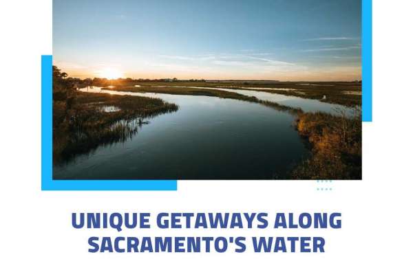 Quenching Your Thirst for Quality: H2go Water On Demand in Sacramento, CA