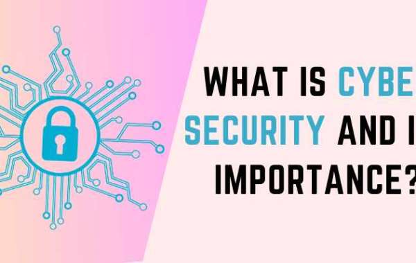 What is Cyber Security and its Importance?