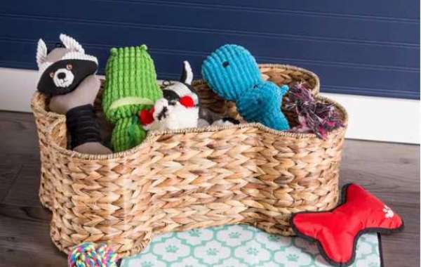 Discuss the 8 Foremost Benefits of Pet Toys Storage