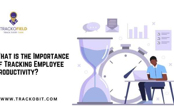 What is the Importance of Tracking Employee Productivity?