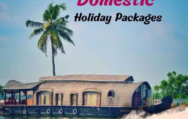 Disclose the Excellence of Your Country: Domestic holiday packages with Lock Your Trip