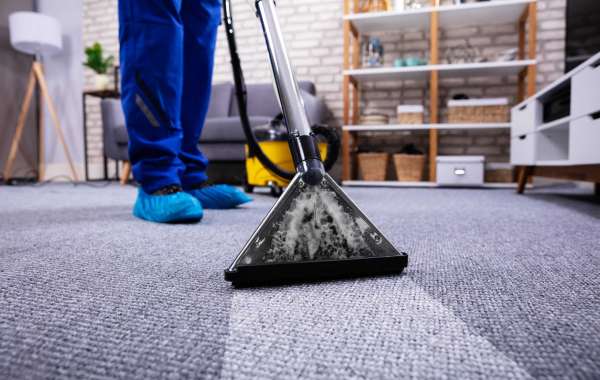 Revitalise Your Home with Professional Carpet Cleaning