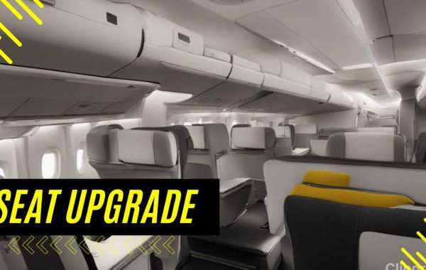 Frontier Airlines Seat Upgrade Options for Discerning Travelers