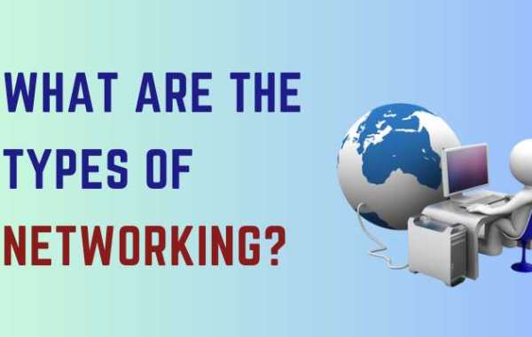 What Are the Types of Networking?