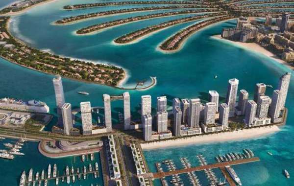 "Your Private Oasis: Beachfront Villas in Dubai's Paradise"