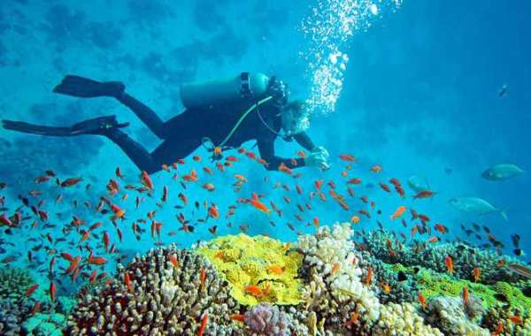 All about Scuba Diving in Andaman
