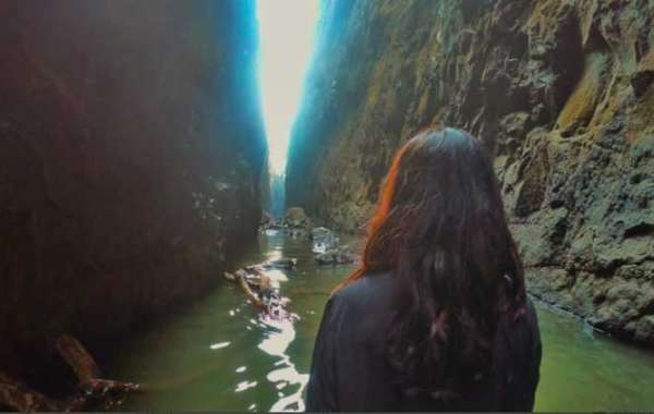 Exploring the Mystical Beauty of Sandhan Valley Trek