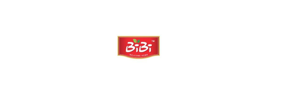 Bibi United Group Inc Cover Image