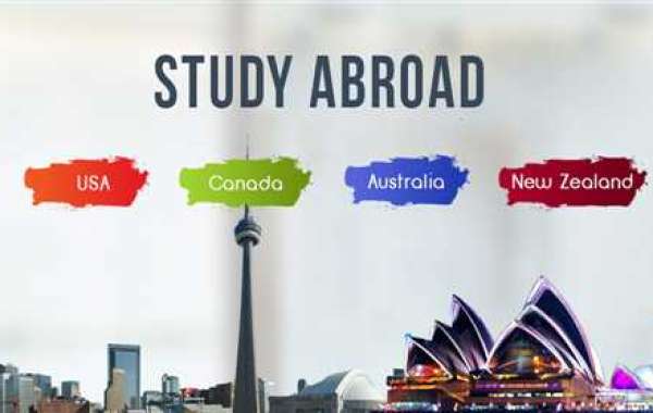 FlyHigh Abroad: Your Gateway to Global Education Excellence from Amritsar