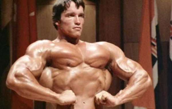 Arnold Schwarzenegger: The Legend of Mr. Olympia