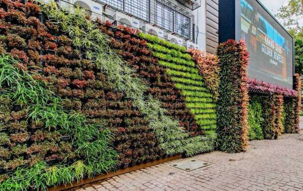 Elevate Your Space: Creative Vertical Garden Ideas to Transform Any Environment