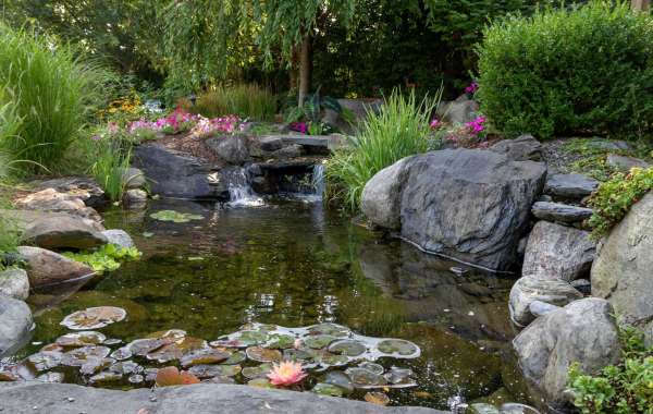 A Comprehensive Guide on Constructing a Beautiful Pond Oasis