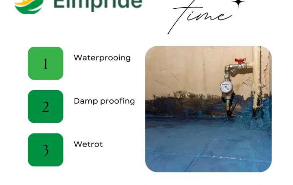 Best Waterproofing and Damp Proofing Services