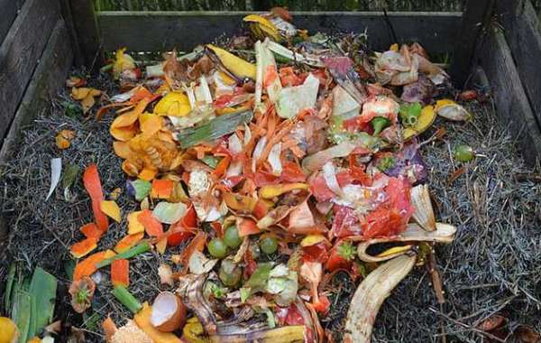 Where Can You Dispose of Green Waste for Free in Stirling?