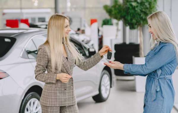 How to Choose the Perfect Round Rock Dealership