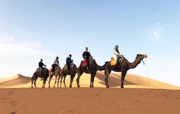 Embark on an Exhilarating Adventure: The 5 Days Marrakech to Casablanca Tour